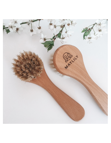 Spazzola in legno con setole naturali