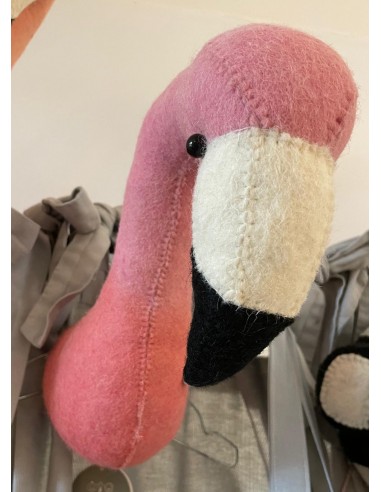 testa flamingo media
