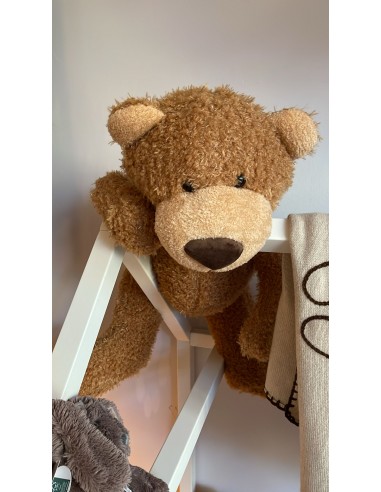 orso peluche
