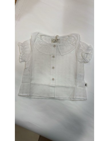camicia cotone m/manica con colletto